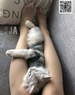聊斋艳谭免费观看_DVD电影在线看